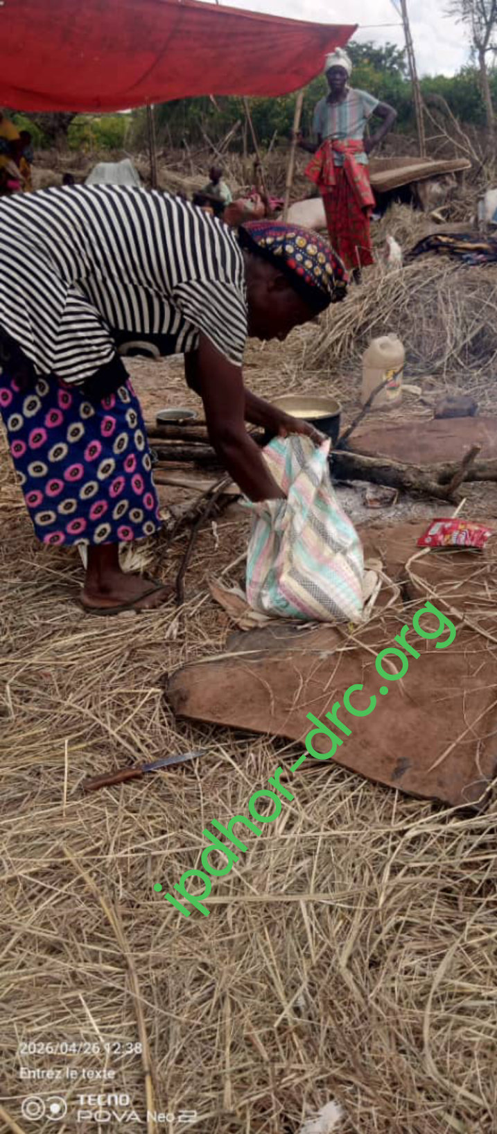 Lubudi : une délocalisation ratée qui tourne à la répression